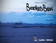 Beaches Brew Festival