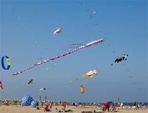International Sprintkite News 2013 a Cervia