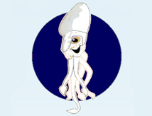 Sagra della Seppia 2014 di Pinarella di Cervia