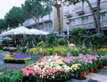 41esima edizione della mostra mercato Cattolica in Fiore
