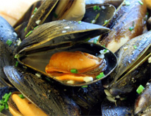 Sagra della Cozza 2014 a Cervia