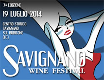 Savignano Wine Festival 2014