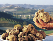 Fossa, Tartufo e Venere 2014 a Mondaino