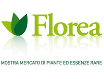 Florea 2015