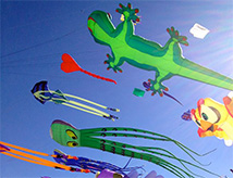 36esimo Festival Internazionale dell'Aquilone a Pinarella di Cervia