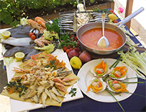 Azzurro come il pesce 2016 a Cesenatico