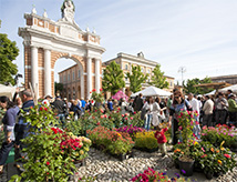 Balconi Fioriti 2016 a Santarcangelo