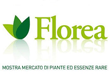 Florea 2016 a San Marino