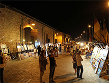Borgomarina Vetrina di Romagna 2016 a Cervia