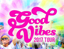 Tappa a Forlì della Color Vibe 2017