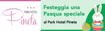 Park Hotel Pineta - Hotel  - Cervia