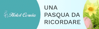 Hotel Cervia - Hotel  - Cervia