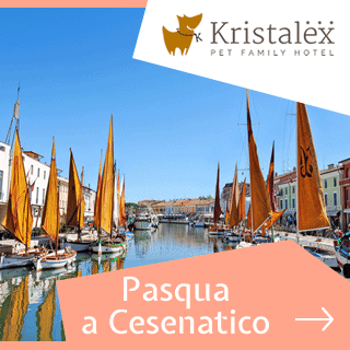 Kristalex - Pet Friends Hotel - Hotel  - Cesenatico