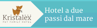 Hotel Kristalex - Hotel  - Cesenatico