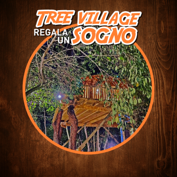 Dormi in una vera casa sull'albero con gli amici o in famiglia! Il nostro Tree Village ti aspetta!