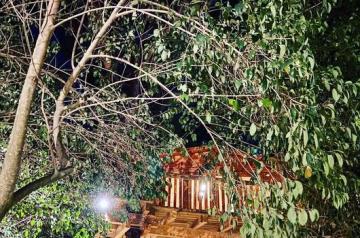 Dormi in una vera casa sull'albero! TARZAN TREE VILLAGE!