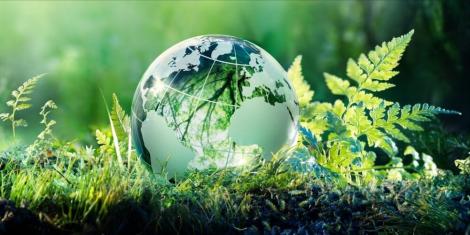 Emmedue gets the ISO 14001 environmental certification