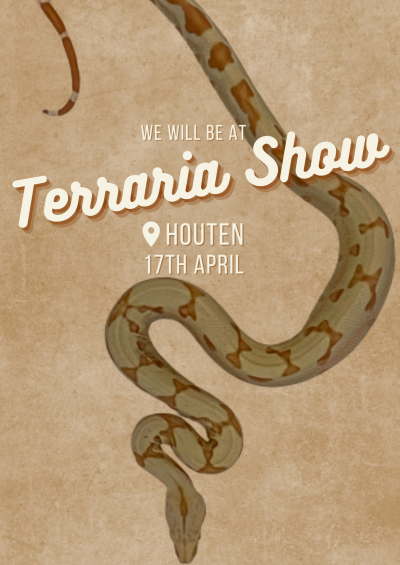 Terraria show in Houten