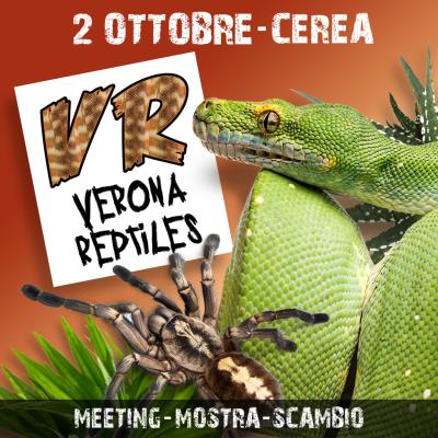 VERONA REPTILES - Domenica 2 ottobre!