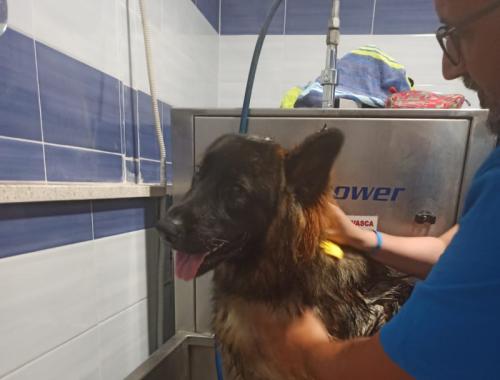 vasca dog wash a gettoni