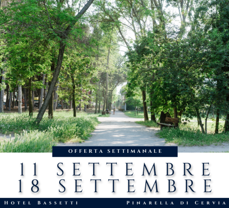 hotelbassetti en 1-en-269447-the-perfect-week-of-relaxation-by-the-sea-mid-july-with-our-carefree-formula-in-romagna-in-cervia 043