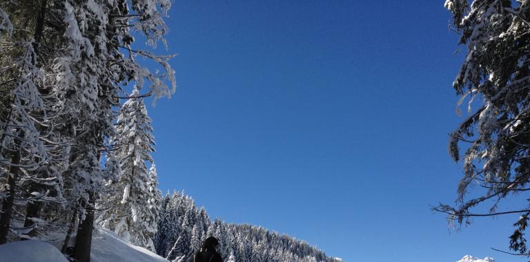 alpinpark it winter-sport 014