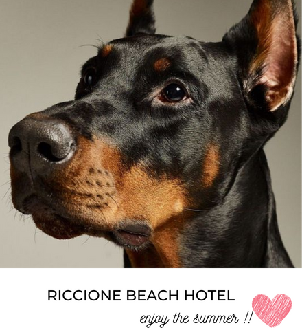 riccionebeachhotel en offers-riccione-beach-hotel 049