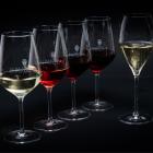 cantinacoppola it wine-tasting-tour-3-vini-e-aperitivo-(disponibile-solo-a-pranzo-per-gruppi-just-at-lunch-for-group-of-minimum-20-adults) 007