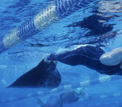 Campionati Italiani Primaverili di Nuoto Pinnato Velocità