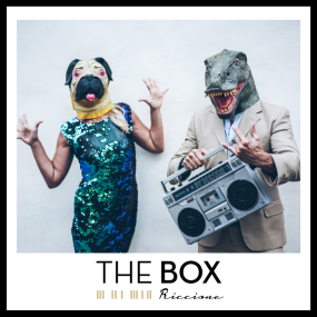 theboxriccione it deejay-on-stage-theboxriccione 016