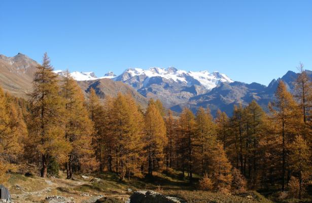 abc-vacanze en autumn-in-aosta-valley-discover-graines-castle-in-brusson 025