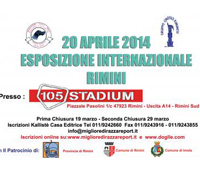 Esposizione Internazionale Canina 2014 al 105 Stadium di Rimini