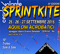International Sprintkite 2015 a Cervia