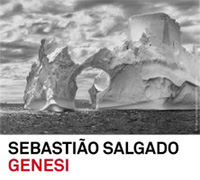 Mostra Genesi di Sebastiao Salgado a Forlì