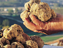 Fossa, Tartufo e Venere 2018 a Mondaino