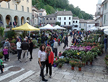 Florea 2017 a San Marino: mostra mercato giardinaggio