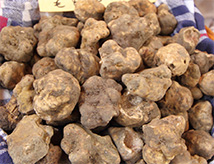 Fiera Nazionale del Tartufo Bianco pregiato 2018 a Sant'Agata Feltria