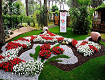 Dal 23 maggio al 30 settembre 2019: Cervia Città Giardino