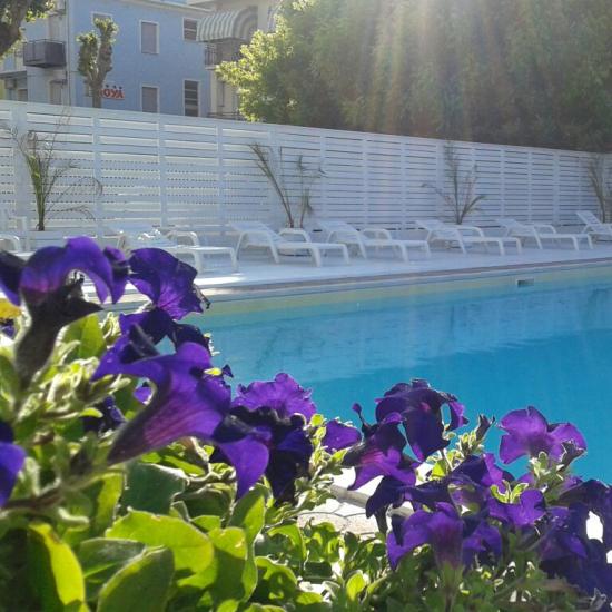 Piscina all'aperto con lettini e fiori viola in primo piano.