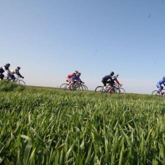 Ciclisti pedalano attraverso un campo verde sotto un cielo limpido.