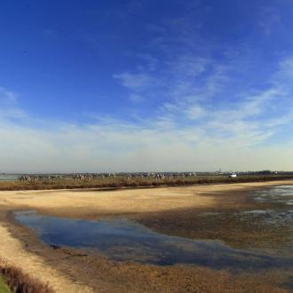 Paesaggio con laguna, ciclisti e cielo blu.