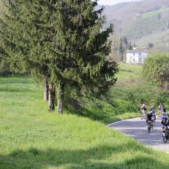 Ciclisti in gara su una strada di campagna verde.