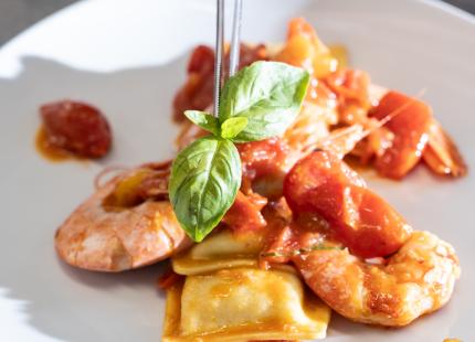 Ravioli mit Garnelen, Tomaten und Basilikum auf weißem Teller.