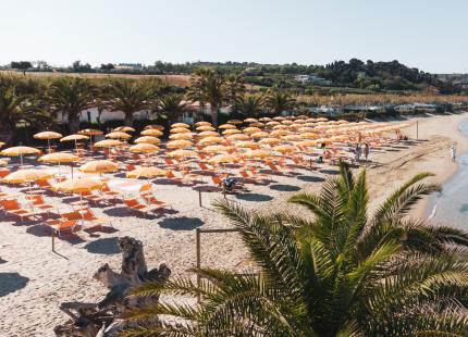 Strand mit orangefarbenen Sonnenschirmen und ruhigem Meer, umgeben von Palmen.