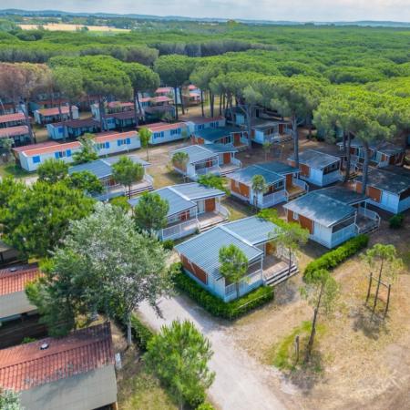 Tourist village surrounded by nature with bungalows and trees.
