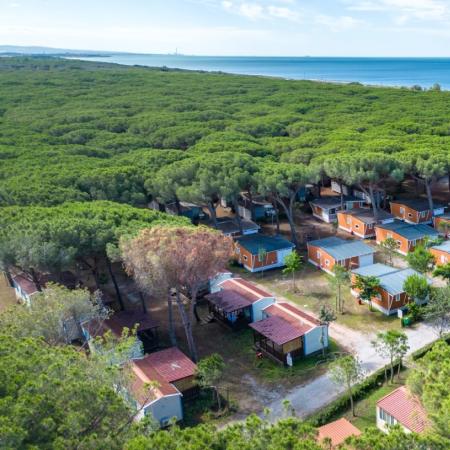 Tourist village between pine forest and sea, with colorful bungalows.