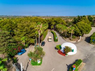 Aerial view of a road with cars, trees, and a white building.