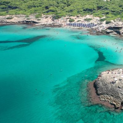 Spiaggia affollata con ombrelloni, mare turchese e vegetazione rigogliosa.