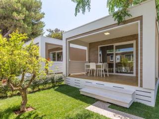Modern cabin with a veranda and green garden.
