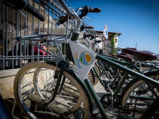 Green bicycles parked outdoors, Sun Beach logo visible.